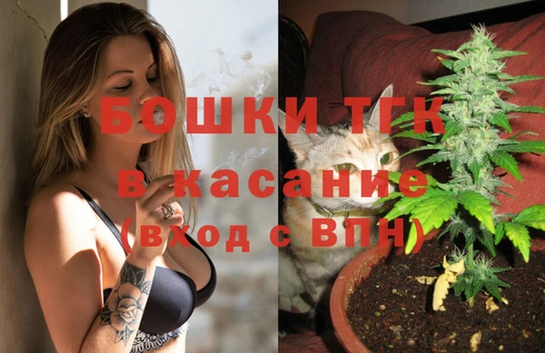 ПСИЛОЦИБИНОВЫЕ ГРИБЫ Баксан